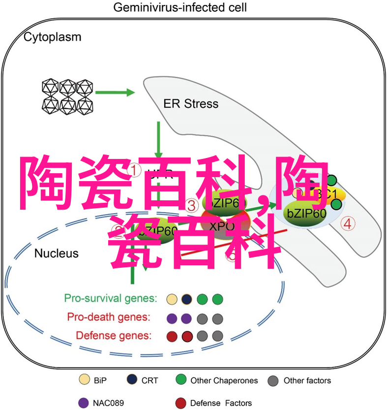 芜湖东门渡窑窑址